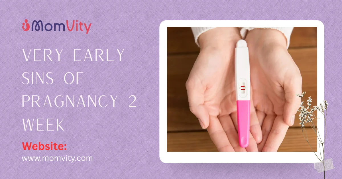 Very early sins of pragnancy 2 week