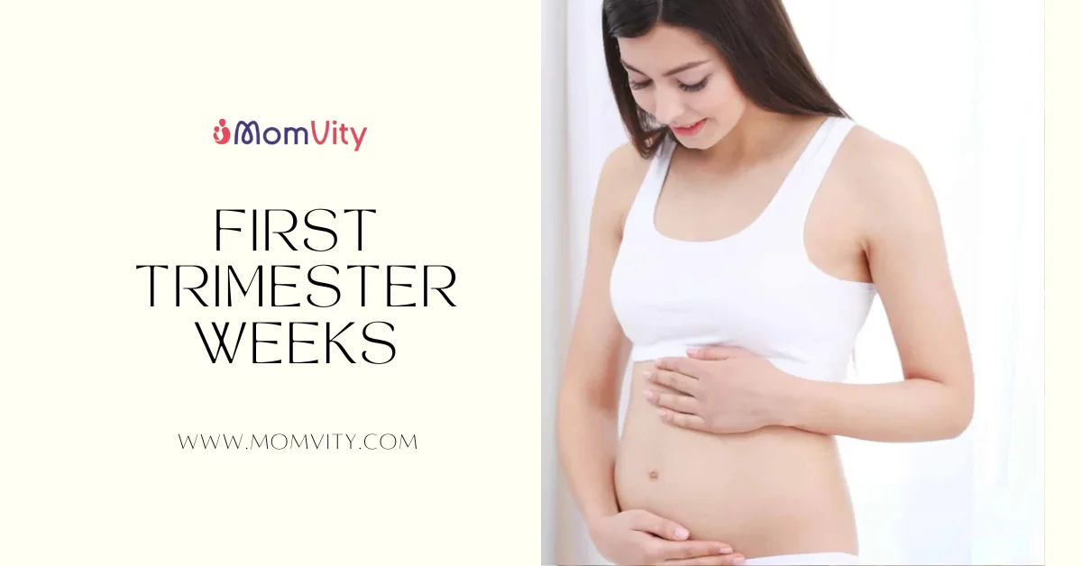 first trimester weeks