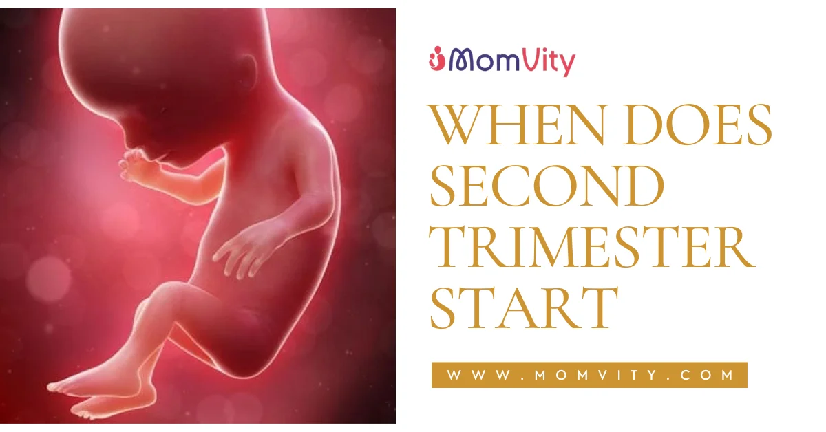 when does second trimester start
