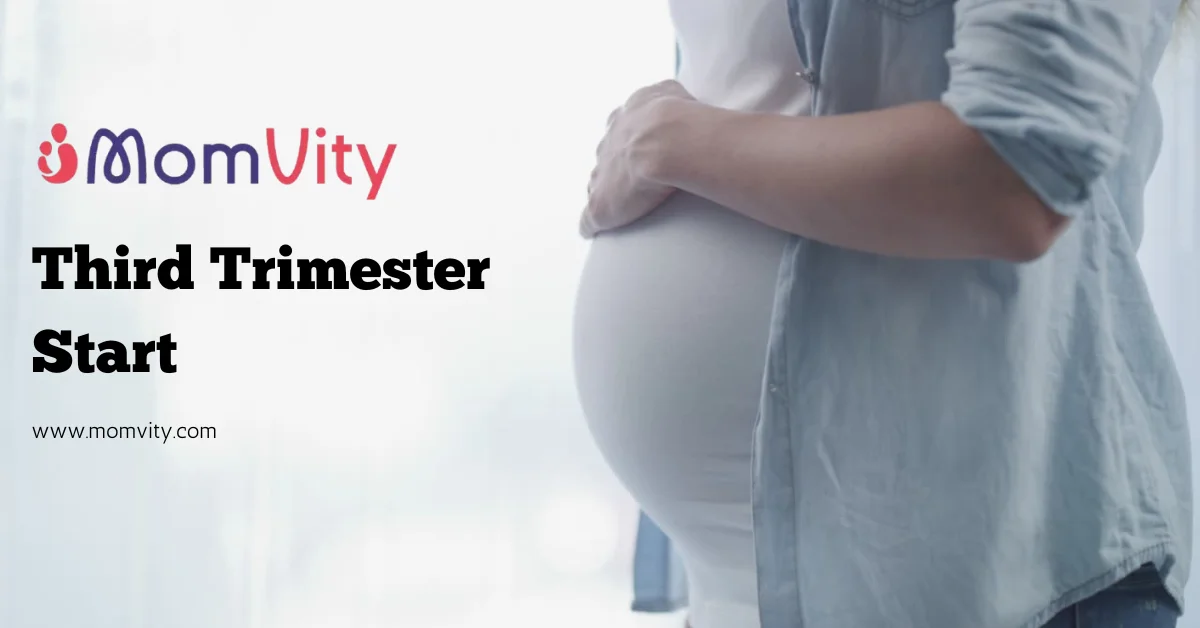 when does third trimester start