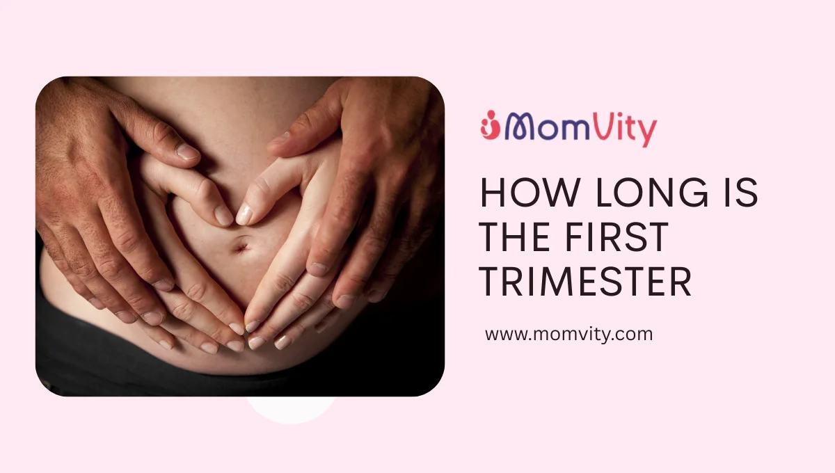 How Long Is the First Trimester