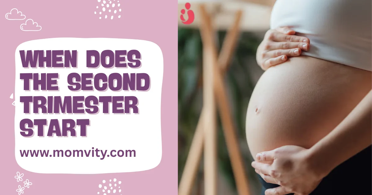 When Does the Second Trimester Start