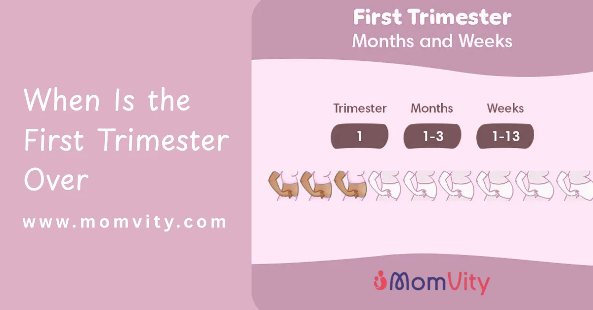 When Is the First Trimester Over