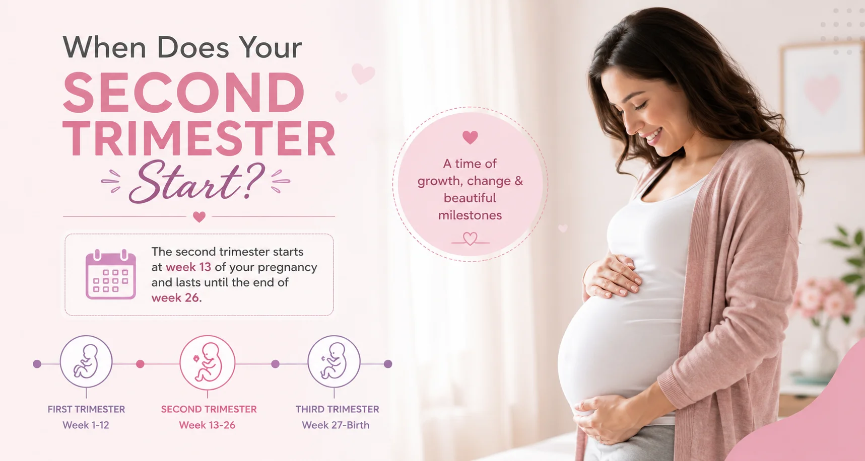 how many weeks is the second trimester