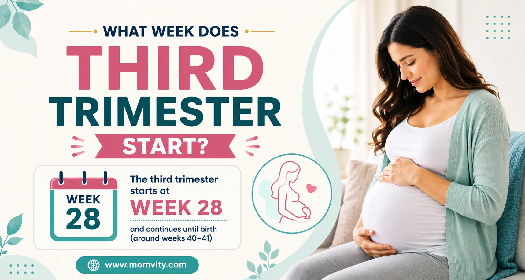 what week does third trimester start